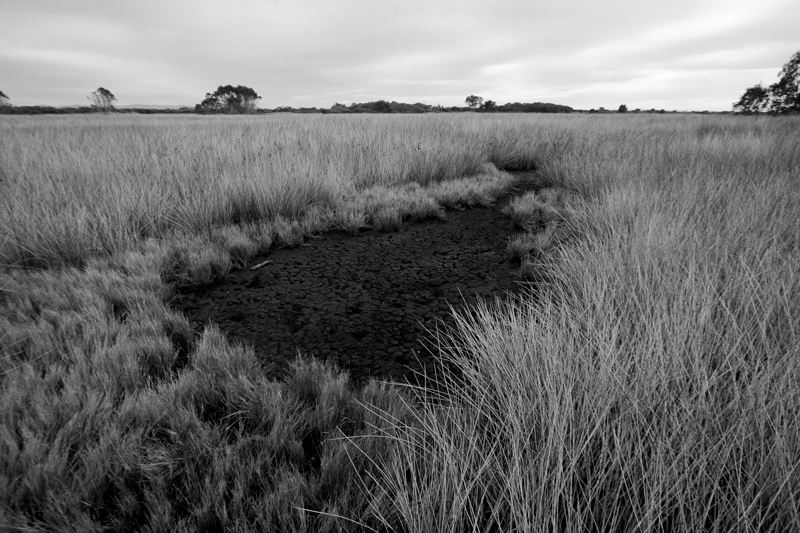 Black Neds Lagoon