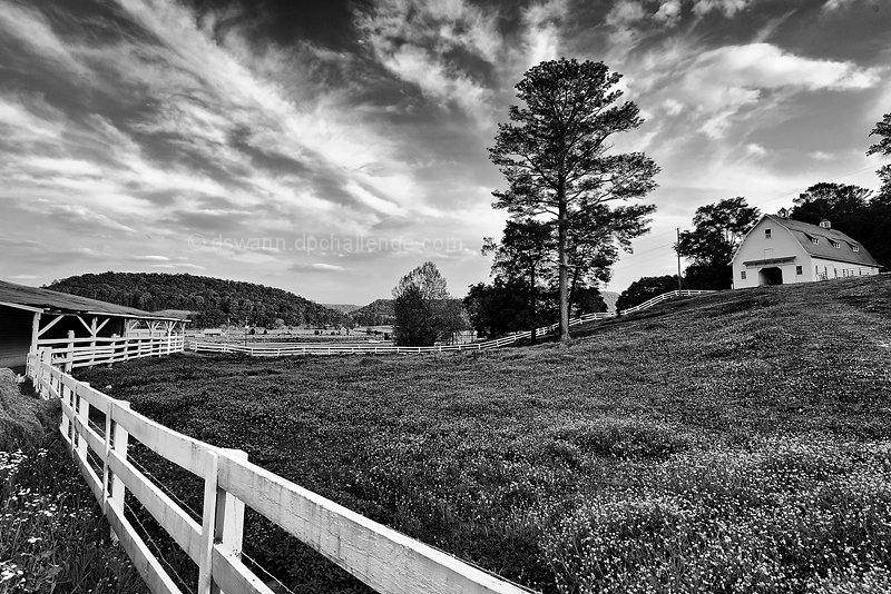 Barn on the Hill