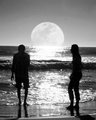 Moon Light