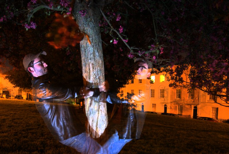 Tree hugging