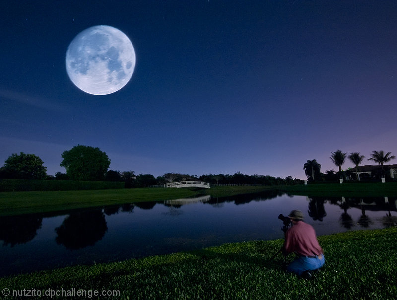 The Moon Shooter