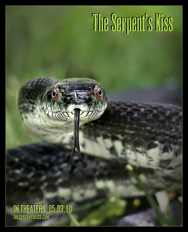 The Serpent's Kiss