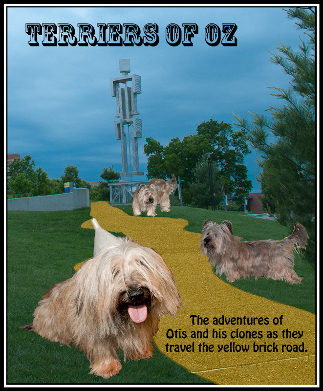Terriers of OZ