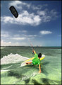 Cruisin' the Reef