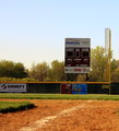 Little League Outfield