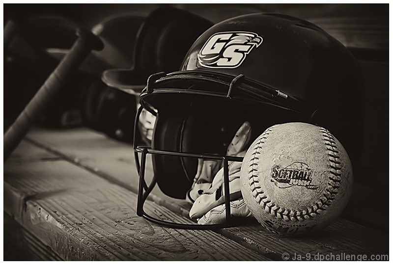 In the Dugout