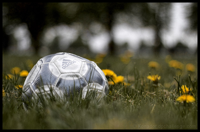 Back to Grass Roots