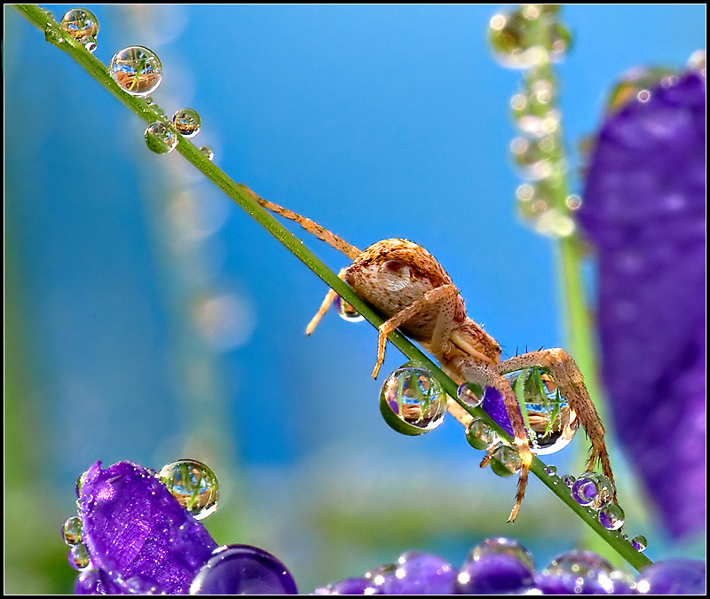Guarding a jeweled hoard