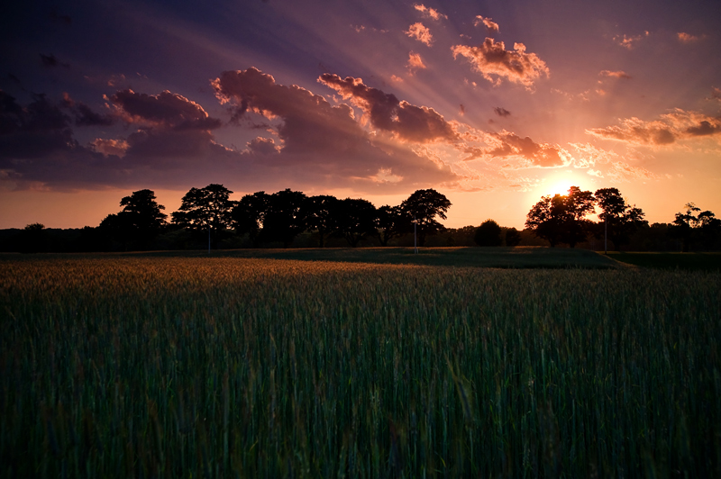 Sunset on the farm