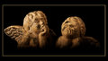 Angels watching...