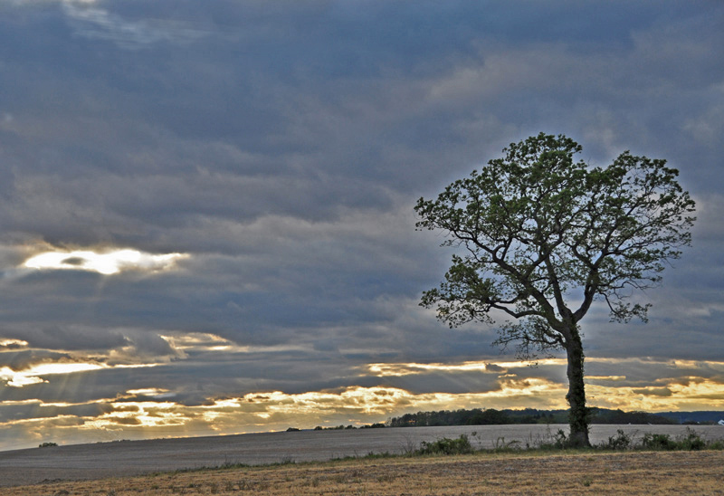 A is for Alone, solo, solitary, singular