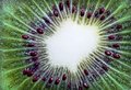 Kiwi Explosion