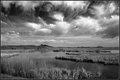 March of the Clouds