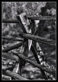 Fenced In