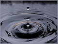Zen Drop