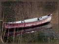 Red Canoe in the Marsh