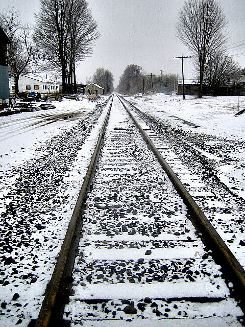 Winter Tracks