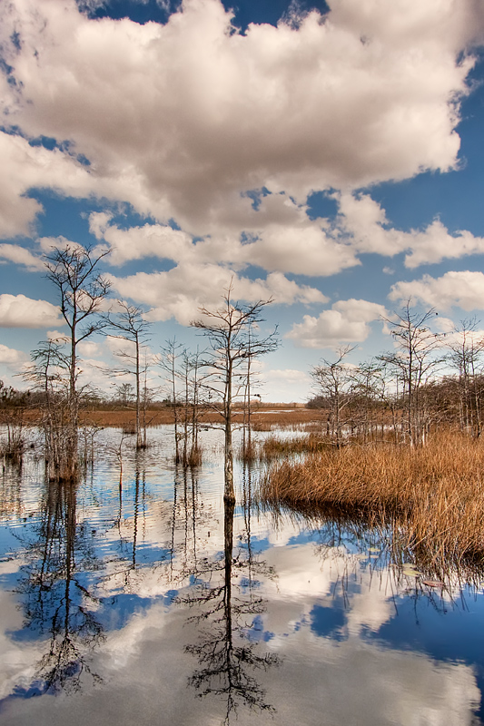 Heavenly reflections