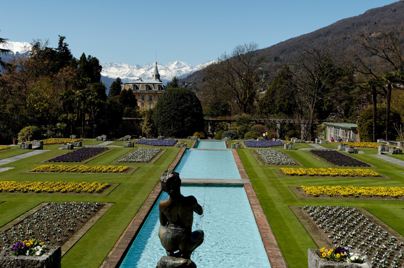 The Garden in The Mountains