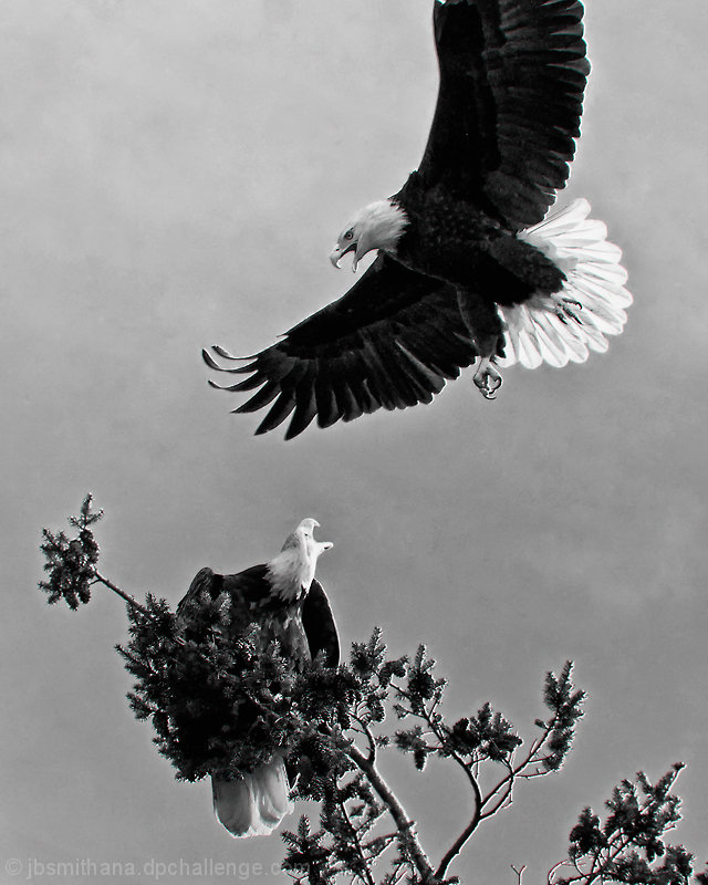 Conflict 2