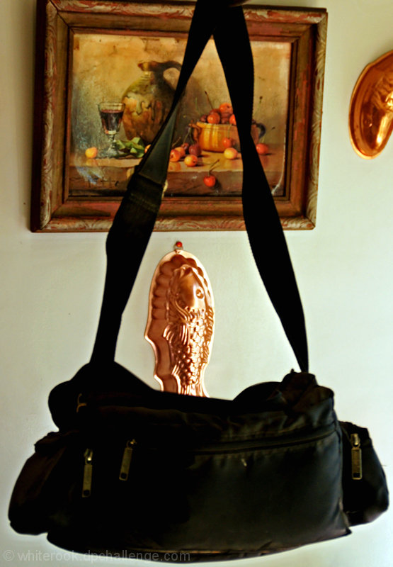 Hanged Camera Bag