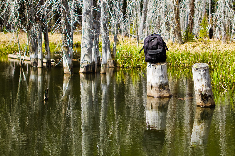 The elusive Lowepro CompuTrekker AW captured in its natural environment