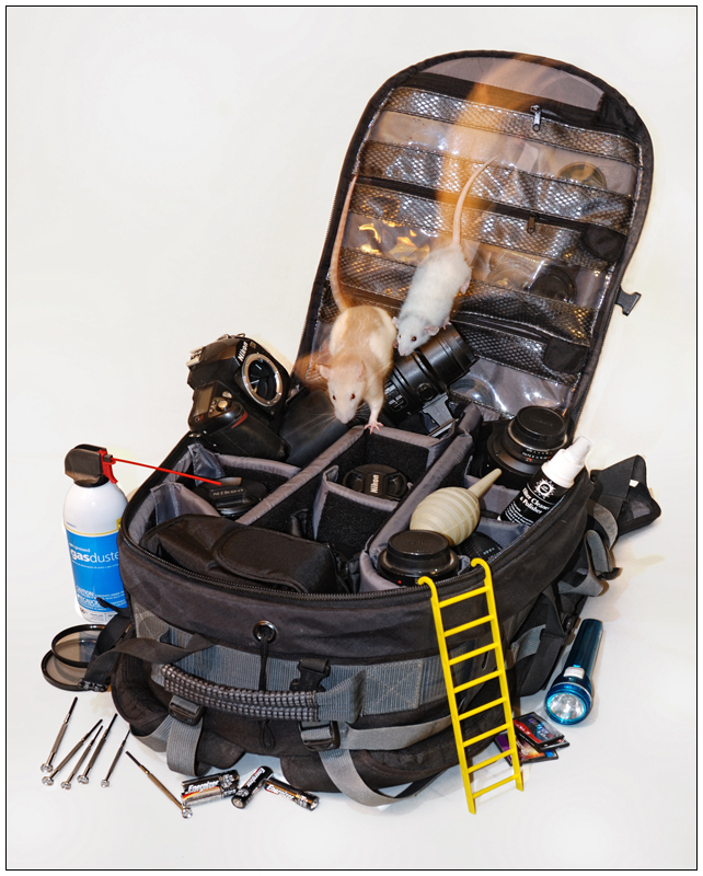 Maintenance by R.A.T.S. - Rapid Animal Technical Service