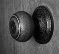 Textured Knob