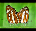Togetherness
