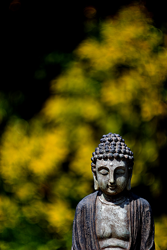 Sun Buddha
