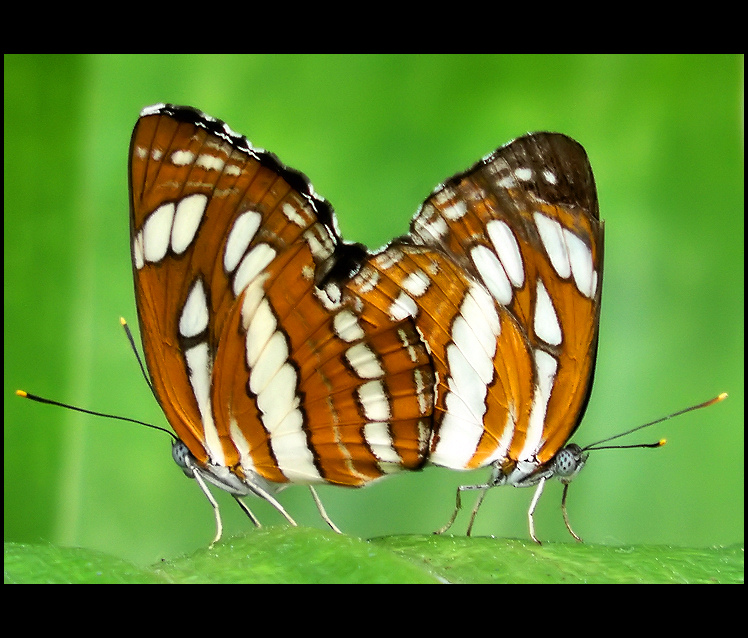 Togetherness