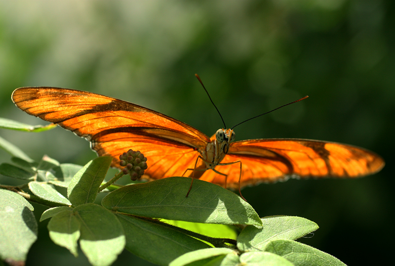 Basking in the Light