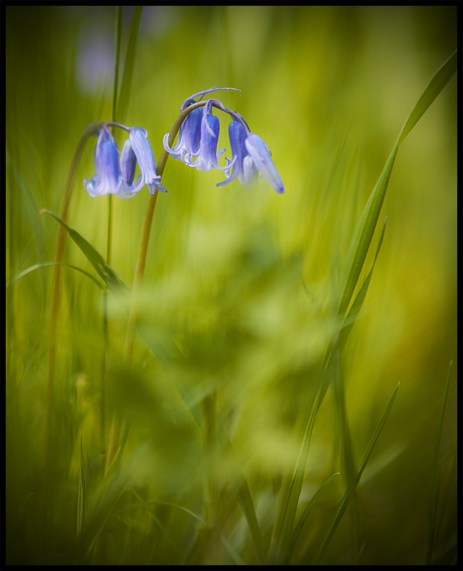 A Dash of Blue