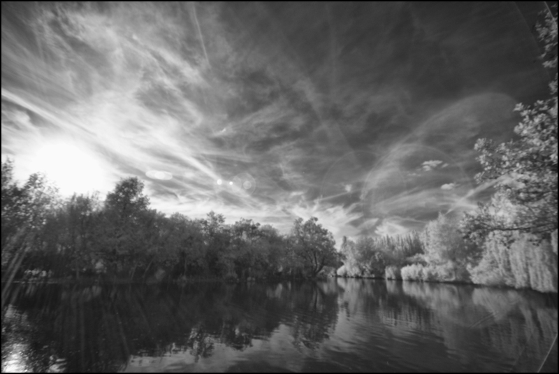 Dreamland
