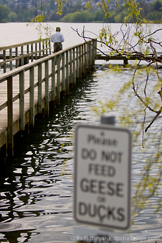 Sorry, I forgot my glasses officer and didn't see the sign ...