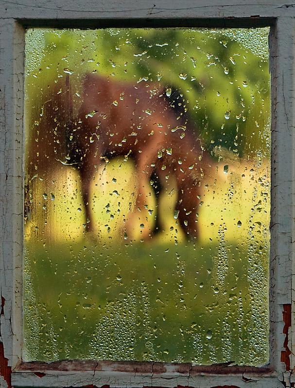 Window Grazing