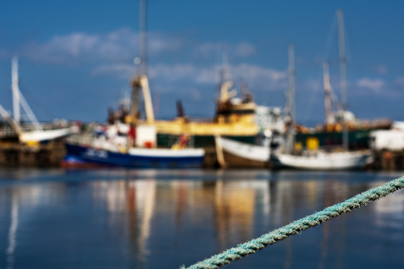 Harbour reflections