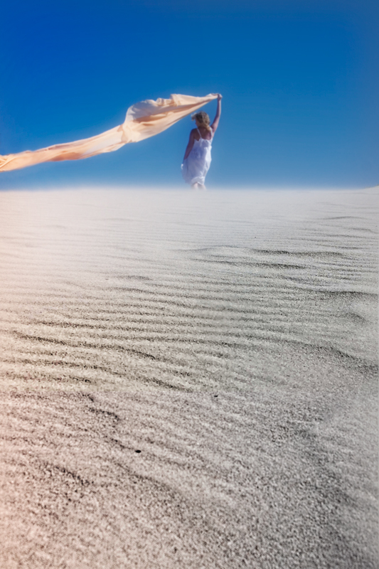 Windswept Dunes