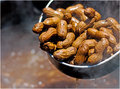 Hot Boiled Peanuts ~ Southern Style