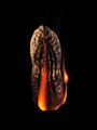 Flaming Nuts
