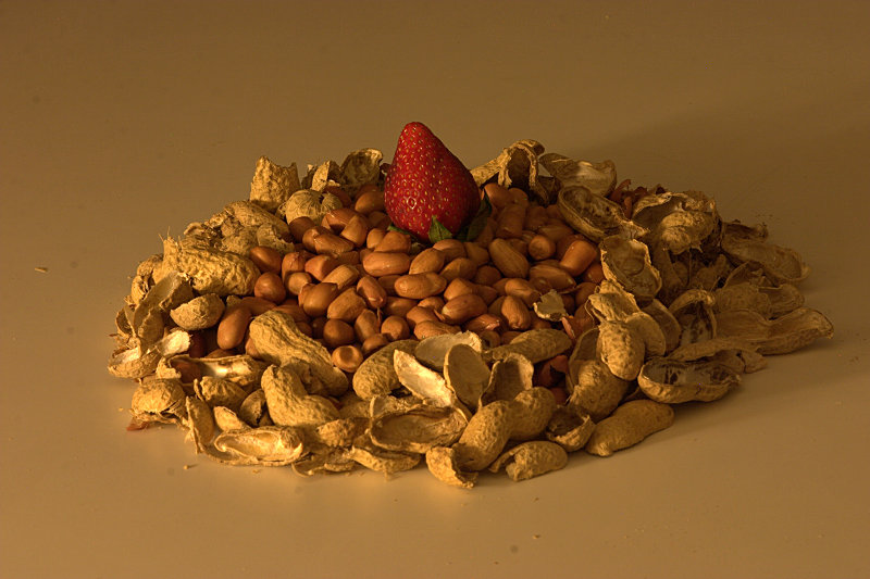 A guest on a pile of peanuts