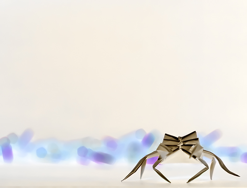 Origami//Kirigami