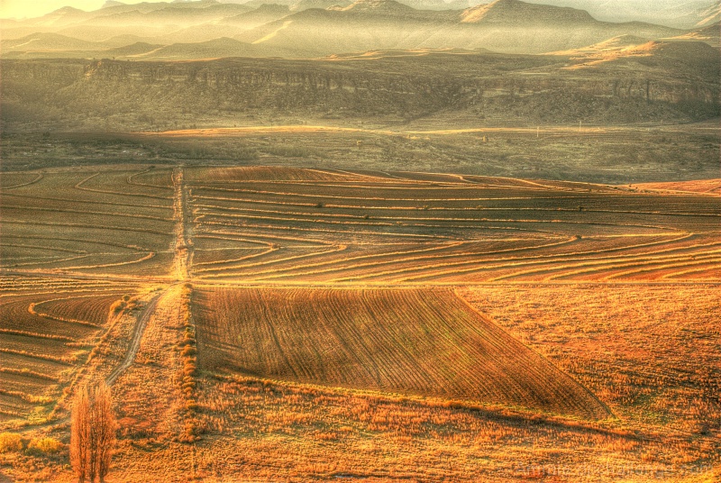 Ploughed Fields