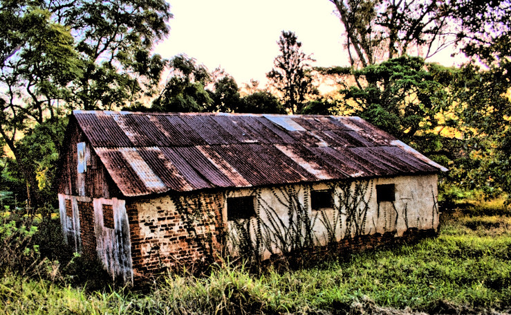 Historic Dwelling Remnants