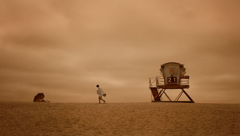 A Day At the Beach