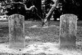 Confederate Soldiers
