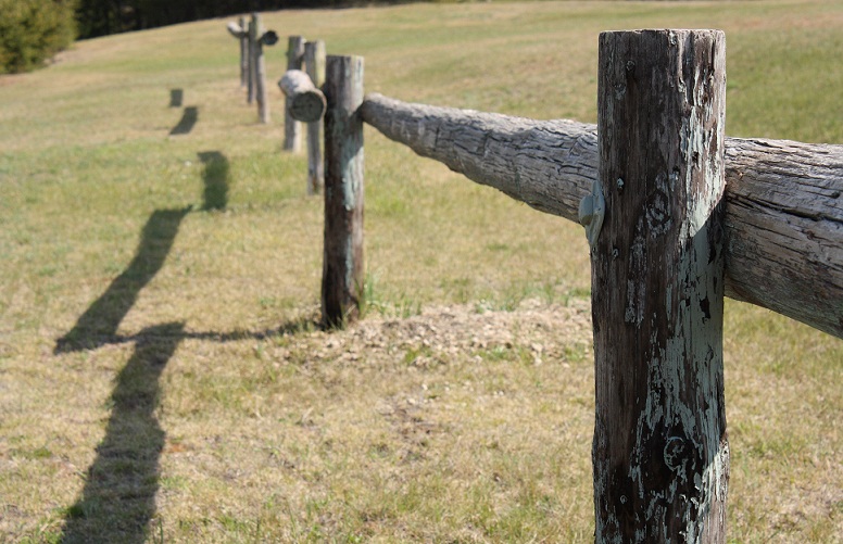 The Fence and Her Opposite