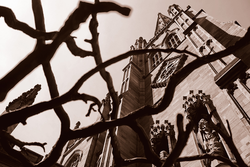 Gothic Survivor -Trinity Church, NYC