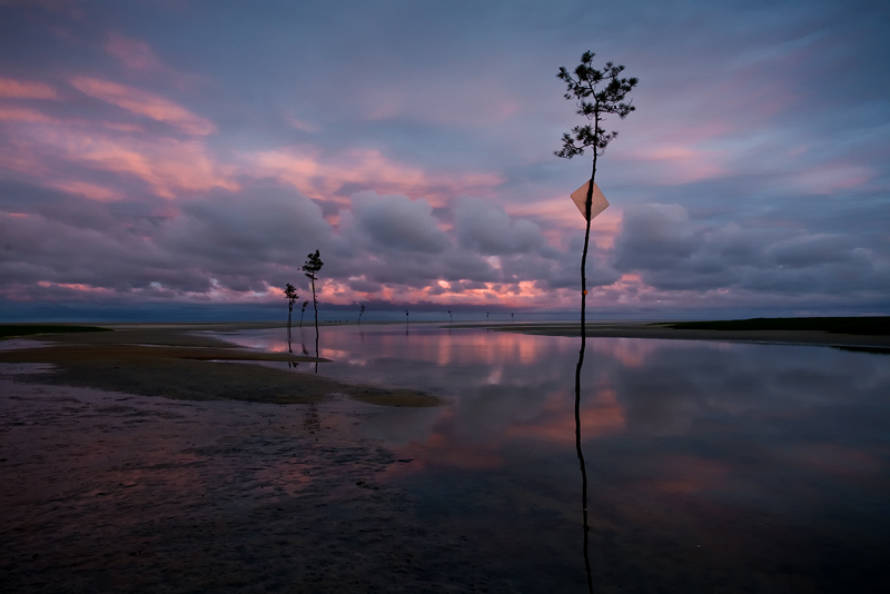 After Joel Meyerowitz — The "Cape Light" Series