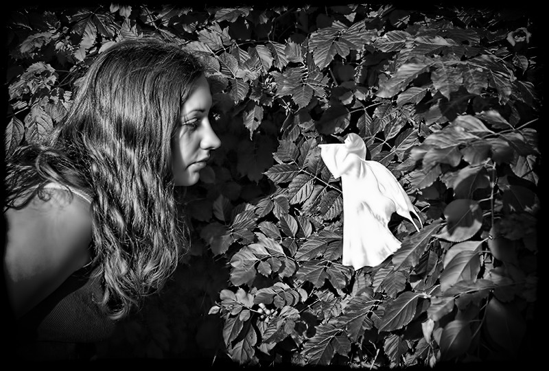 The Cottingley Fairies
